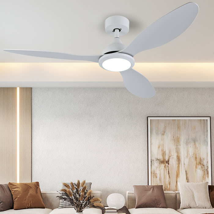 ceiling fan with light