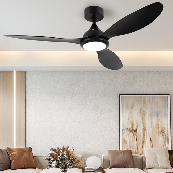 ceiling fan with light